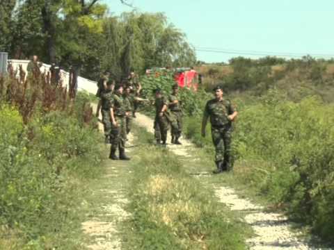 Știre Etv - Aplicație cu efect domino | 25.06.2015