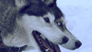 Casper - Auf und davon (official music video)