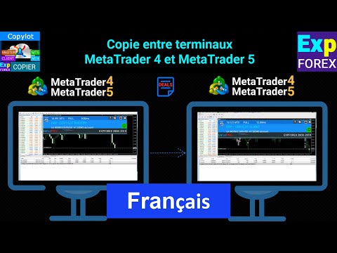 Video Exp5 COPYLOT MASTER for MT5