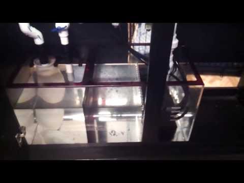 90 gallon Reef Build - Overview and Progress Pt.1 - Update 3