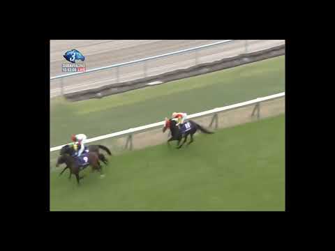 2019.04.28 Tenno Sho (Spring) (JPN) - Fierement