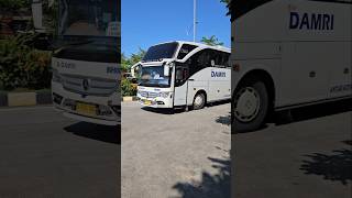 Download lagu ternyata bis damri juga punya telolet mp3 Download lagu ternyata bis damri juga punya telolet mp3