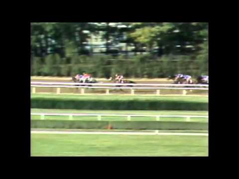 Pleasant Colony   1981 Woodward Stakes2
