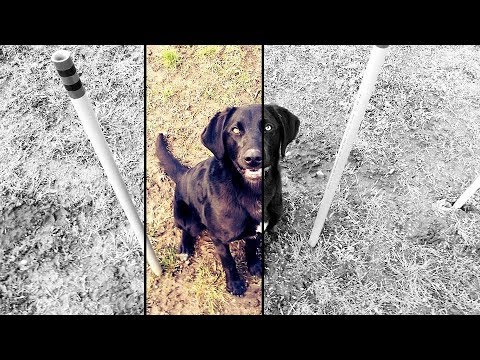 Goodbye my love | I hope to see you again