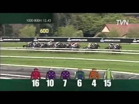 2008 Epsom Handicap - Theseo