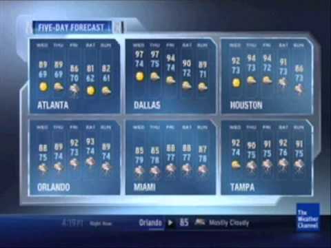 It's Not Always Cold in Buffalo - The Bunny The Bear