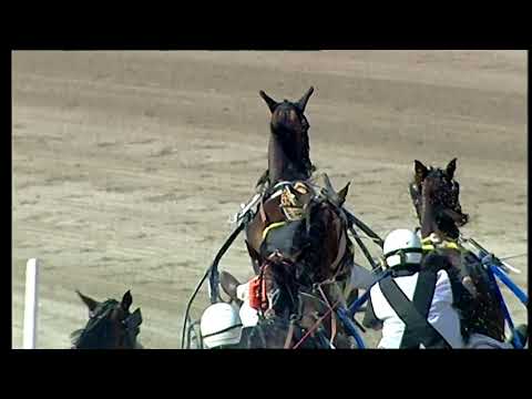 Napoli Trotto 23/05/2021 - 7ª corsa