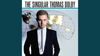 My Brain Is Like a Sieve (Bill Bottrell Single Remix) (2009 Remaster)