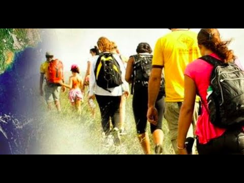 Evangelho do dia 31/08/22 - Despertar - Lc 4,38-44