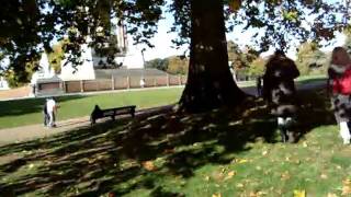 preview picture of video 'Kensington Park, London'