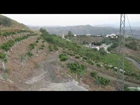 download lagu mp3 mp4 Avocado Season In Spain, download lagu Avocado Season In Spain gratis, unduh video klip Avocado Season In Spain