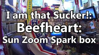 Beefheart Sun Zoom Spark Box