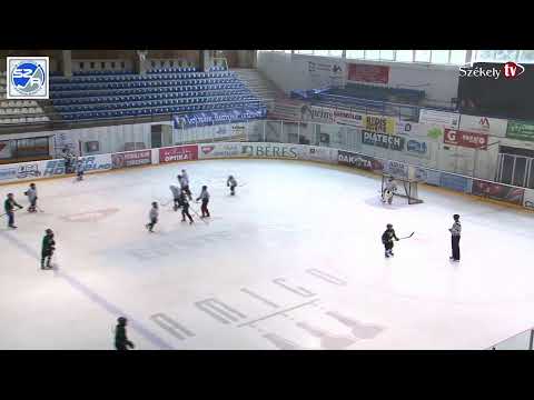 Székelyföldi Jégkorong Akadémia  U12B kárpáti Farkasok - SZJA Bikák