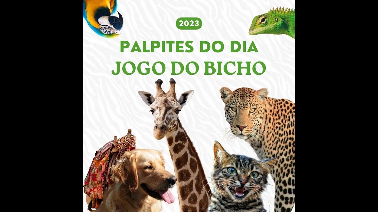 Watch Now PALPITES PARA HOJE NA ALVORADA MG(JOGO DO BICHO) PALPITES PARA HOJE NA ALVORADA MG(JOGO DO BICHO)