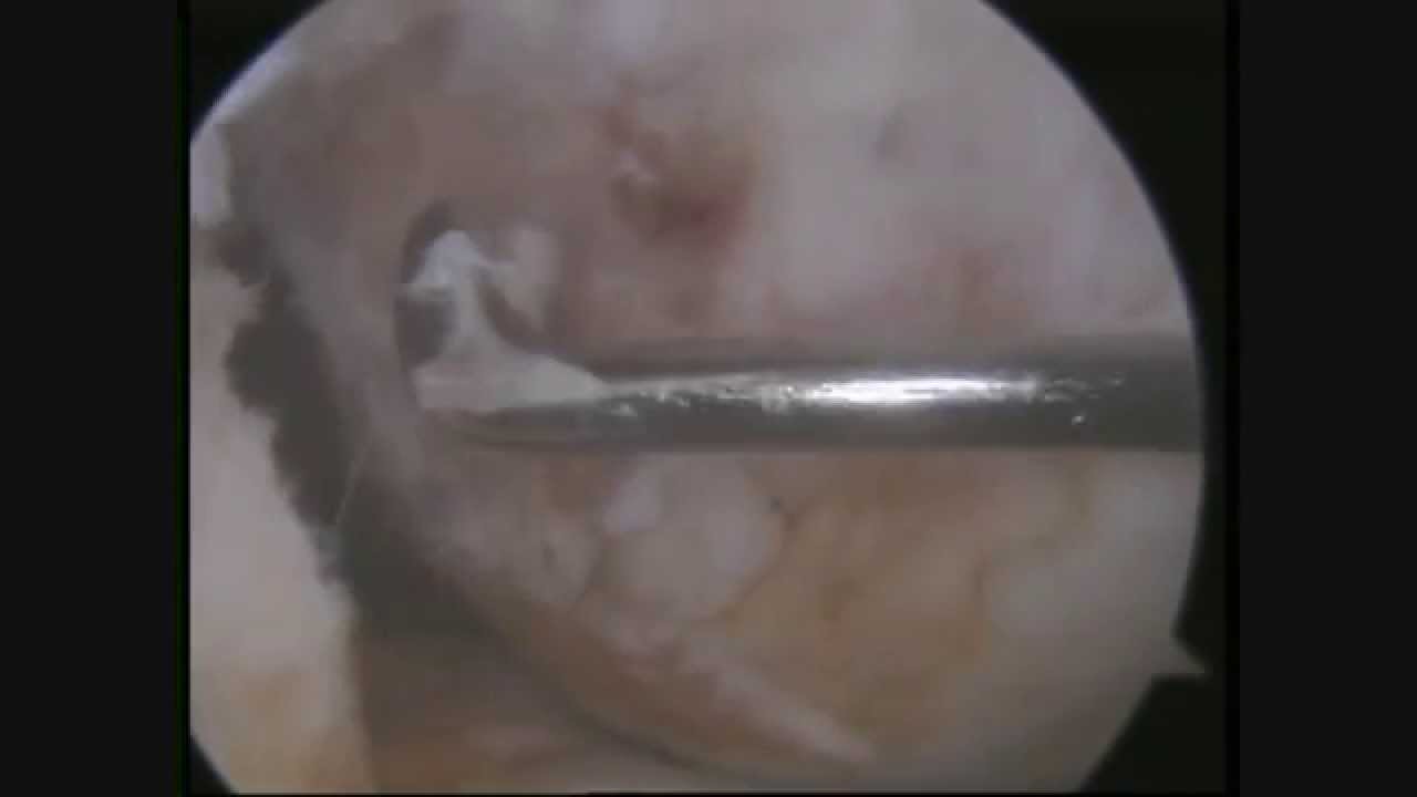 Jorge Luis Córdova Fonseca-6