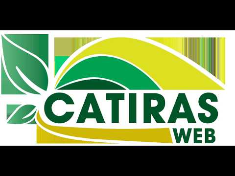 LEILÃO AO VIVO CASA GRANDE LEILÕES - MORRINHOS - GO  -  29 DE OUTUBRO DE 2026.