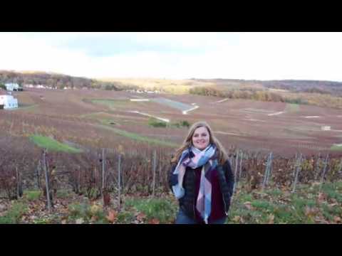 Mon excursion à Reims et Champagne