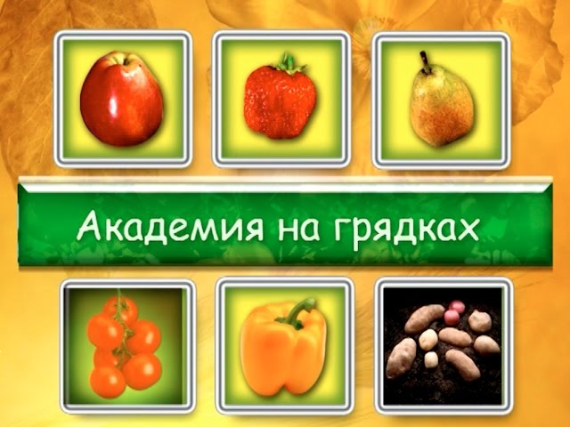 «Академия на грядках» от 16 декабря 2015