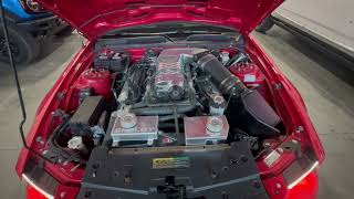 2009 Ford Mustang Shelby GT500KR - Start Up / Engine Bay