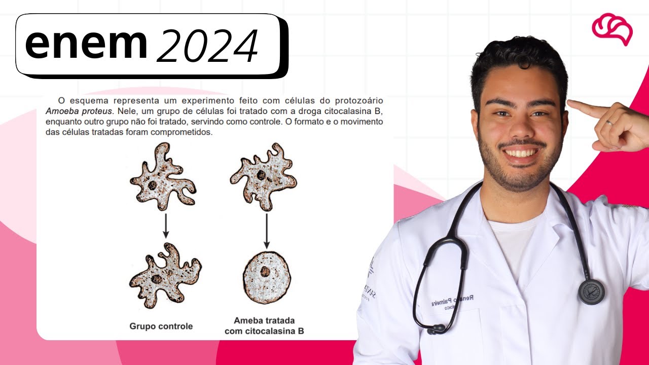 Resolução em Vídeo — Questão 115 ENEM 2024