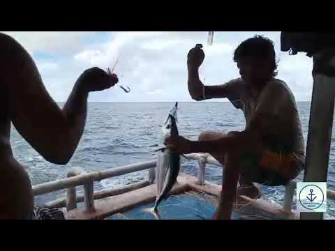 Tuna fishing