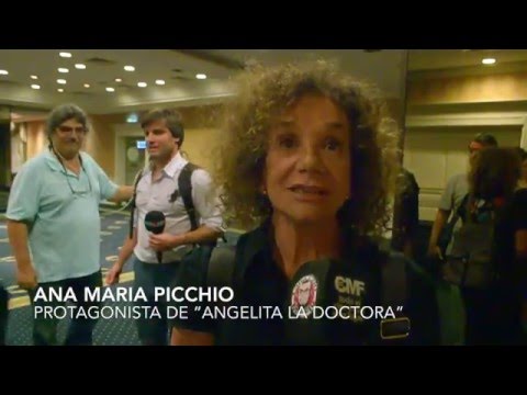 Presentacion Pantalla Pinamar 2016 - Ana Maria Picchio