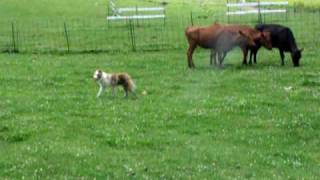 Download lagu Lola and Ruby part 4 mp3