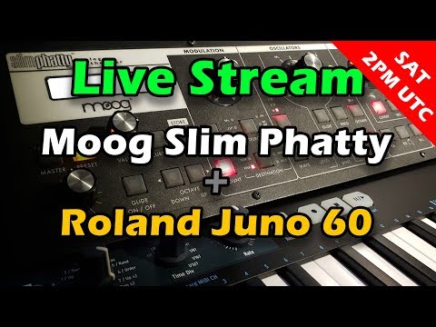 ranzee Live Stream #27 - Moog Slim Phatty + Roland Juno 60!