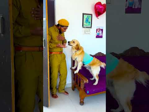 कैसे मेरे डॉगी ने आज चोर को पकड़वाया😱 #funnydogs #shorts