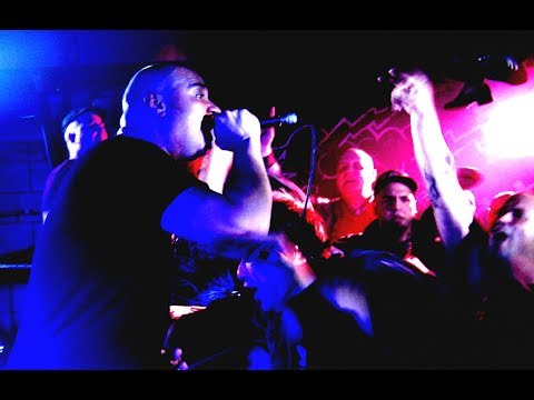 The Prowlers - Protect and Serve