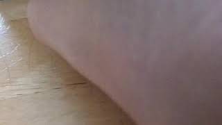 亀のお散歩　第二弾‼