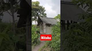 Download lagu Lagu Sunda Mitoha#lagusunda#shorts mp3