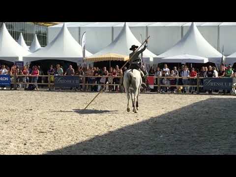 CENTAURO - Horse Event 2019 - Doma Vaquera with Mieke Hylkema on SeBo Granuja