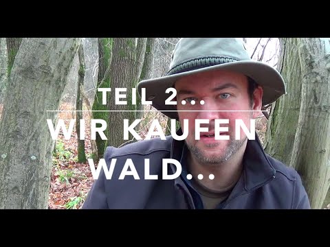 We're buying forest! Rights, responsibilities, forestry, finances! (Part 2/3)