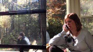 the Good Graces - Believe What You're Saying (Sugar)