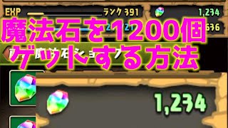 パズドラ 宝石 メーカー أفضل الإباحية Xxx الفيديو