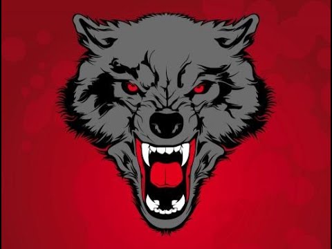 ★BOZKURT★  VS ★ KARARGAH