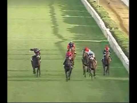 Premio Ubaldo Pandolfi 2012 (LISTED RACE)