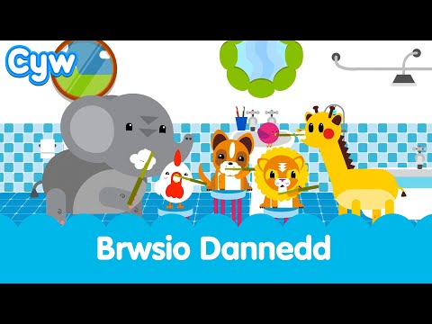 Cân Brwsio Dannedd | The Cyw Toothbrushing song