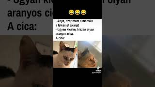 Download lagu magyar memek😂 mp3