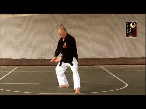 Basics: Back Stance – Shihan Rod Lindgren
