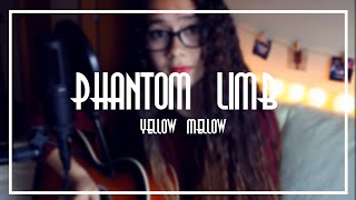Phantom Limb - Yellow Mellow ♬