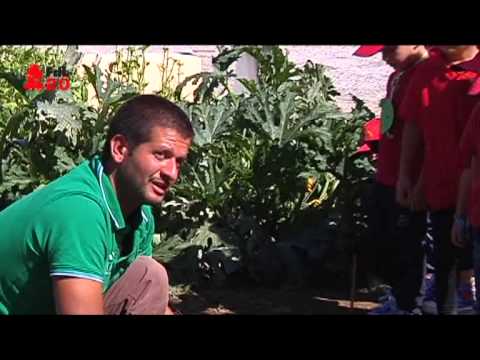 TG 19.09.13 Bambini negli orti, per un giorno contadini in erba