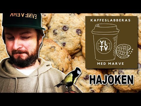 Hajoken (Tonna Brix) | Kaffeslabberas med Marve - 045 [PODCAST]: YLTV