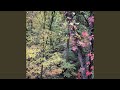 Wind (Ambient Rushton Podcast 85)