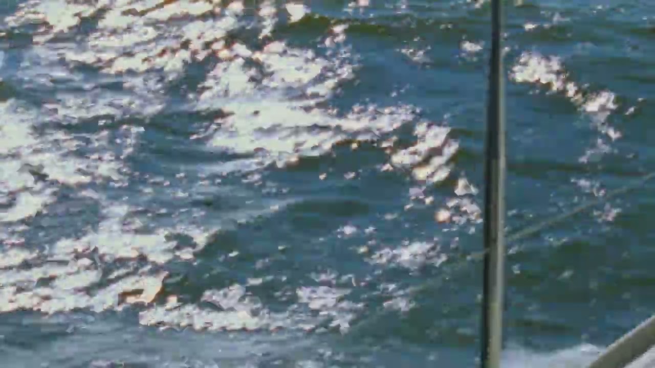 Placeholder from YouTube