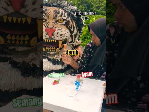 KUCING BESAR MAKAN PERMEN UNIK BENTUK BUAH BUAHAN SEMANGKA JERUK AYAM