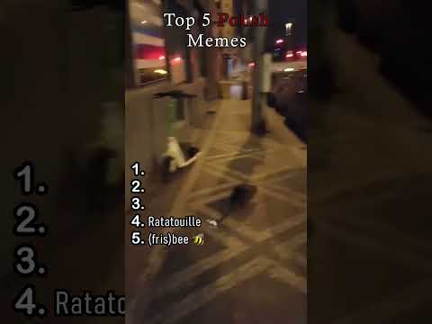 Top 5 polskich memów😆🤣