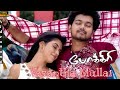 Pokkiri Movie Vasantha Mullai Video Song Thalapathy Vijay Asin Prabhu Deva D Music