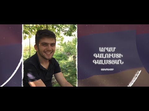 Ձեզ բացակա չենք դնի․ Արամ Գալստյան